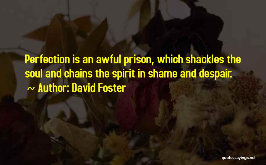 Prison Quotes By David Foster