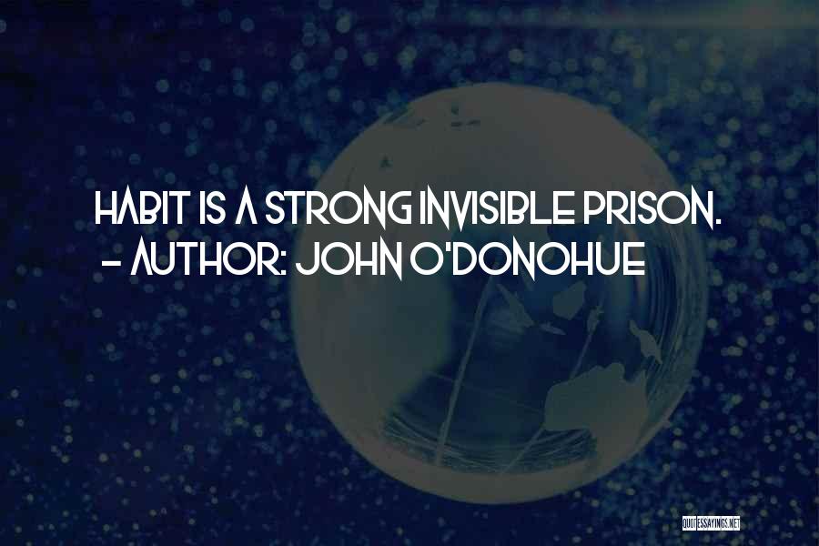 Prison Quotes By John O'Donohue