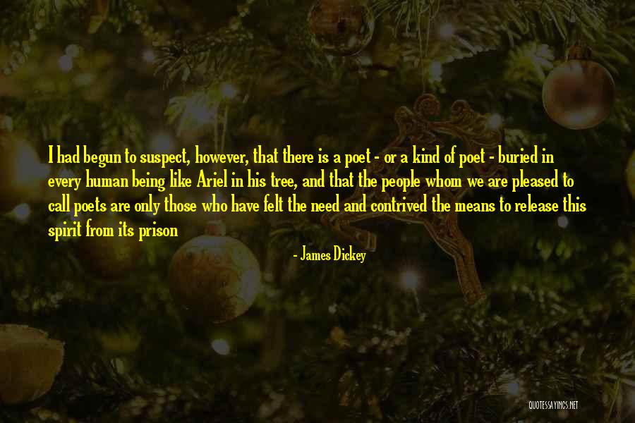 Prison Release Quotes By James Dickey