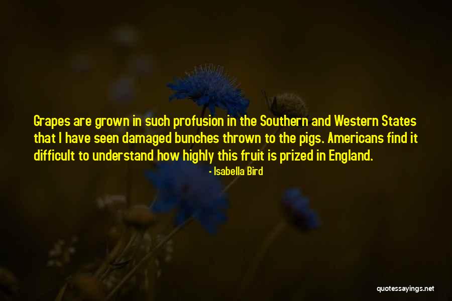 Prisoner Number 2 Quotes By Isabella Bird Prisoner Number 2 Quotes By Isabella Bird
