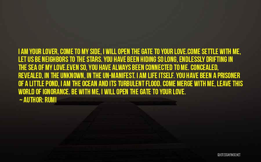 Prisoner Of Your Love Quotes By Rumi