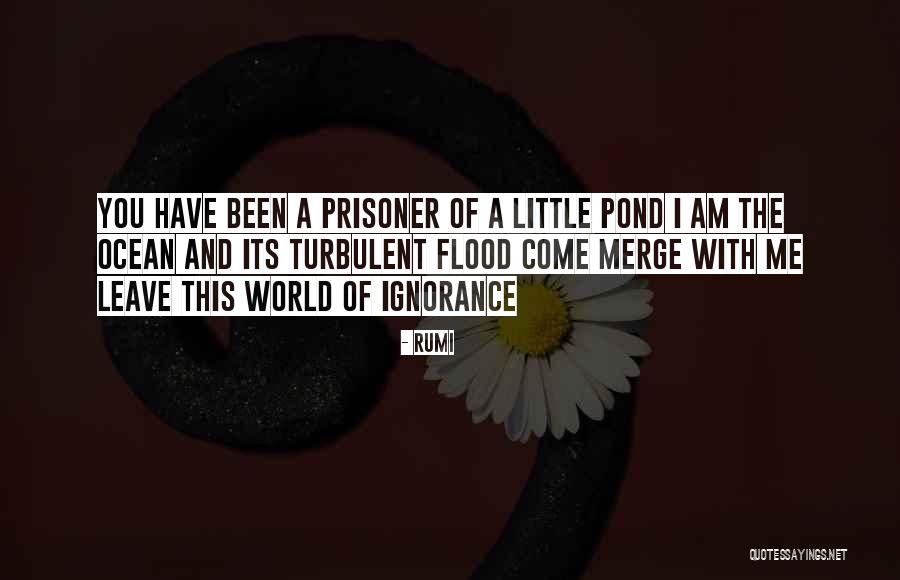 Prisoner Quotes By Rumi Prisoner Quotes By Rumi
