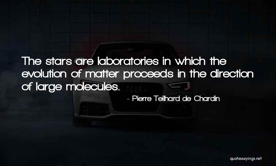 Prithvi Shaw Quotes By Pierre Teilhard De Chardin Prithvi Shaw Quotes By Pierre Teilhard De Chardin