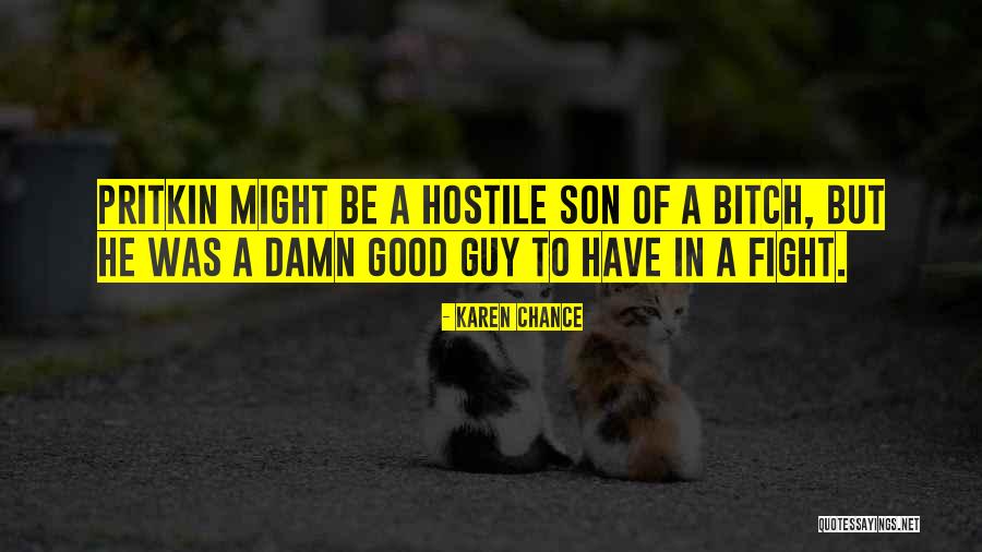 Pritkin Quotes By Karen Chance Pritkin Quotes By Karen Chance