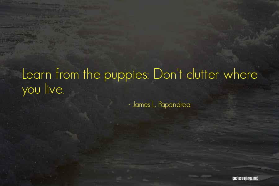 Priuses 2017 2020 Quotes By James L. Papandrea Priuses 2017 2020 Quotes By James L. Papandrea