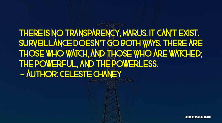 Privacy And Security Quotes By Celeste Chaney