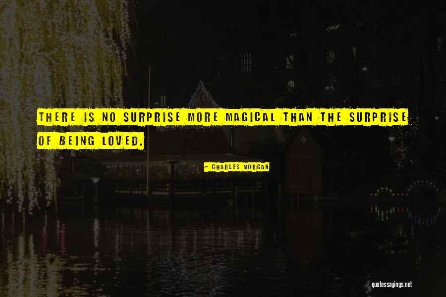 Privacy And Social Networking Quotes By Charles Morgan
