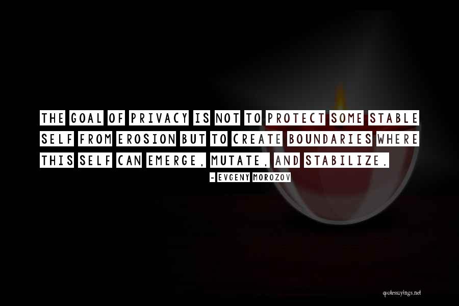 Privacy And The Internet Quotes By Evgeny Morozov Privacy And The Internet Quotes By Evgeny Morozov
