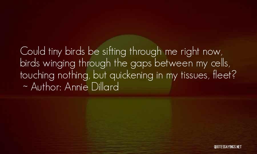 Privatdozent Quotes By Annie Dillard
