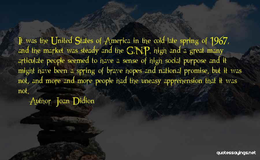 Privatdozent Quotes By Joan Didion