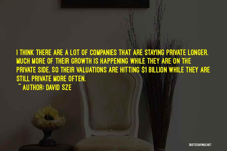 Private Companies Quotes By David Sze