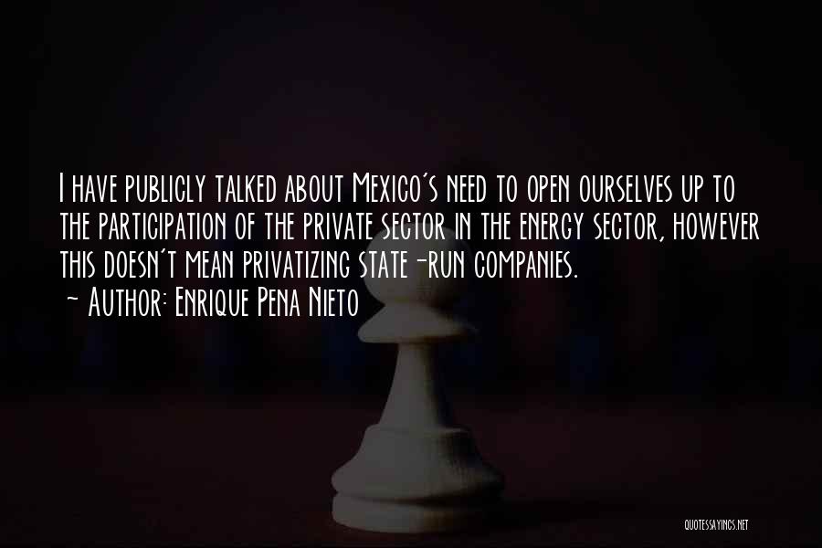 Private Companies Quotes By Enrique Pena Nieto