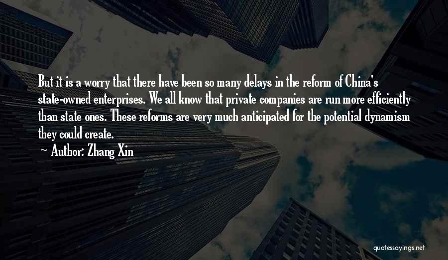Private Companies Quotes By Zhang Xin