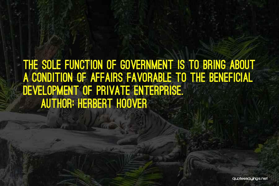 Private Enterprise Quotes By Herbert Hoover