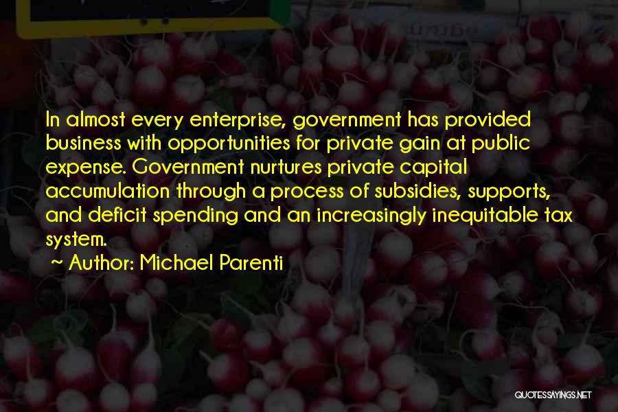 Private Enterprise Quotes By Michael Parenti