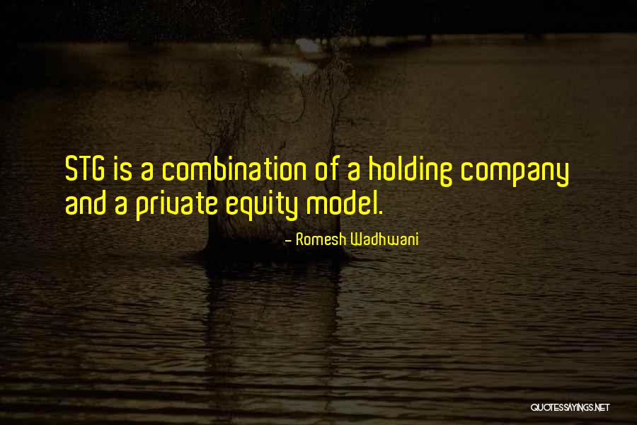 Private Equity Quotes By Romesh Wadhwani