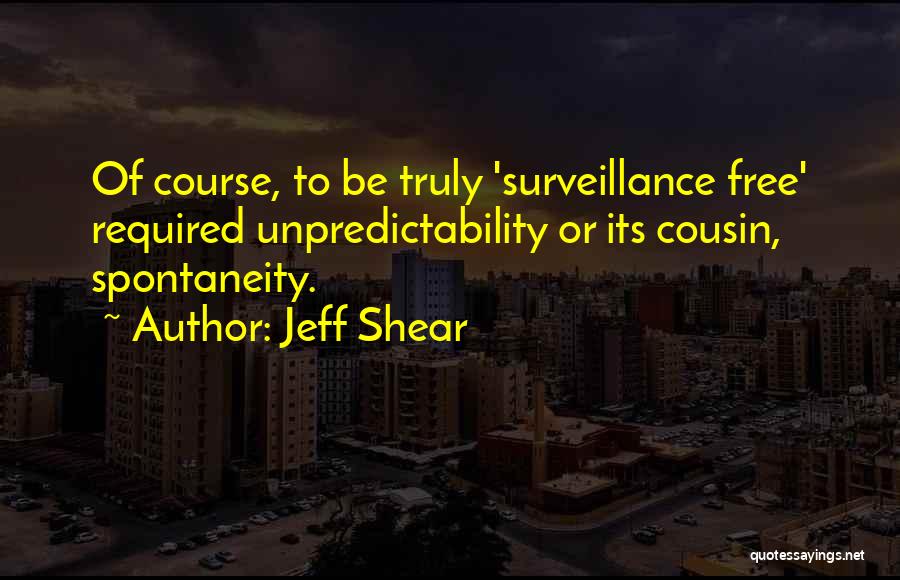 Private Investigator Quotes By Jeff Shear