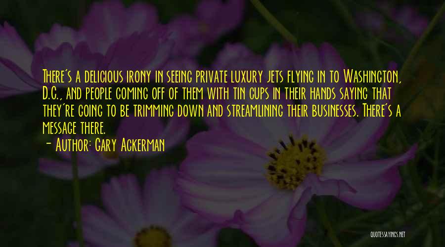 Private Jets Quotes By Gary Ackerman