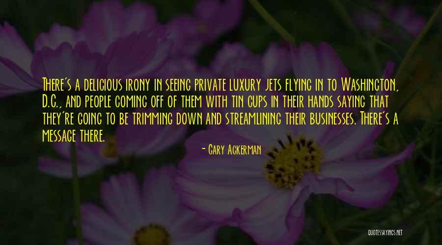 Private Jets Quotes By Gary Ackerman