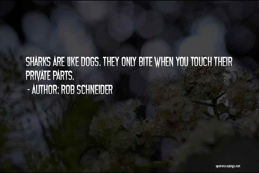 Private Parts Quotes By Rob Schneider