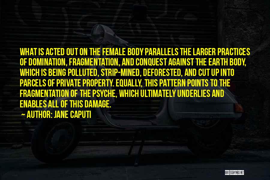 Private Practice Quotes By Jane Caputi