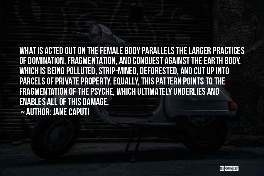 Private Property Quotes By Jane Caputi