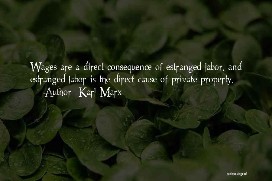 Private Property Quotes By Karl Marx