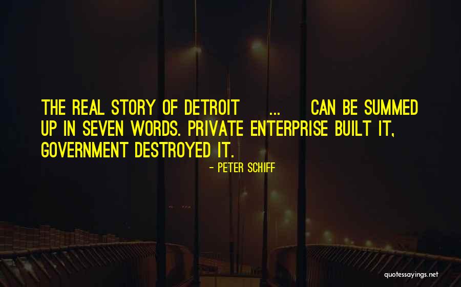 Private Story Quotes By Peter Schiff