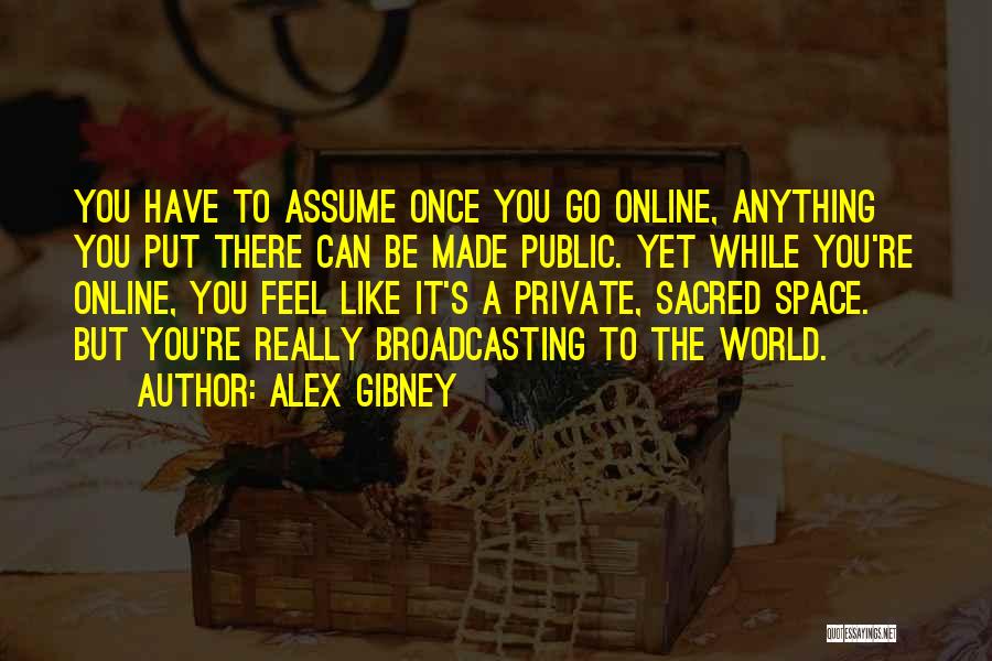 Private Vs Public Quotes By Alex Gibney