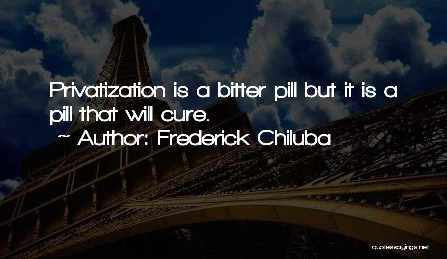 Privatization Quotes By Frederick Chiluba