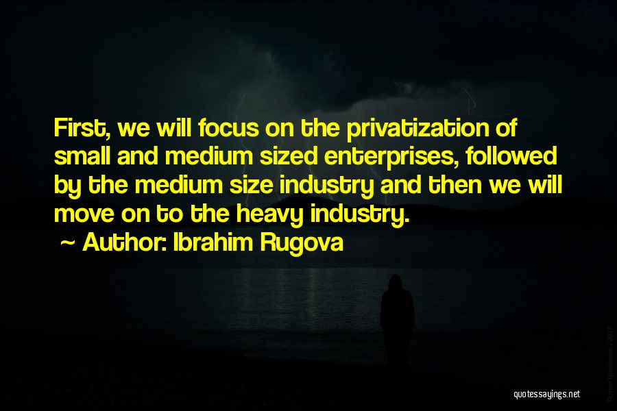 Privatization Quotes By Ibrahim Rugova