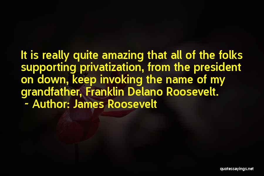 Privatization Quotes By James Roosevelt