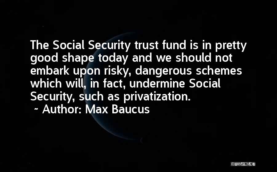 Privatization Quotes By Max Baucus