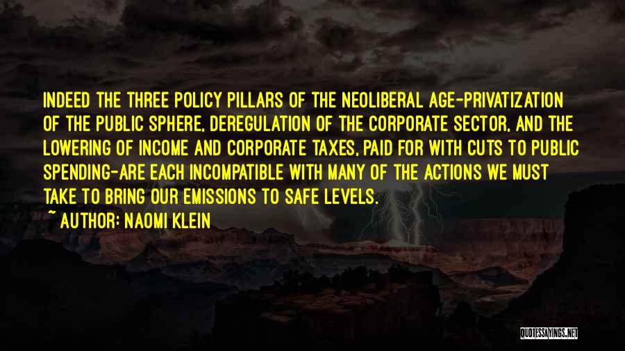 Privatization Quotes By Naomi Klein