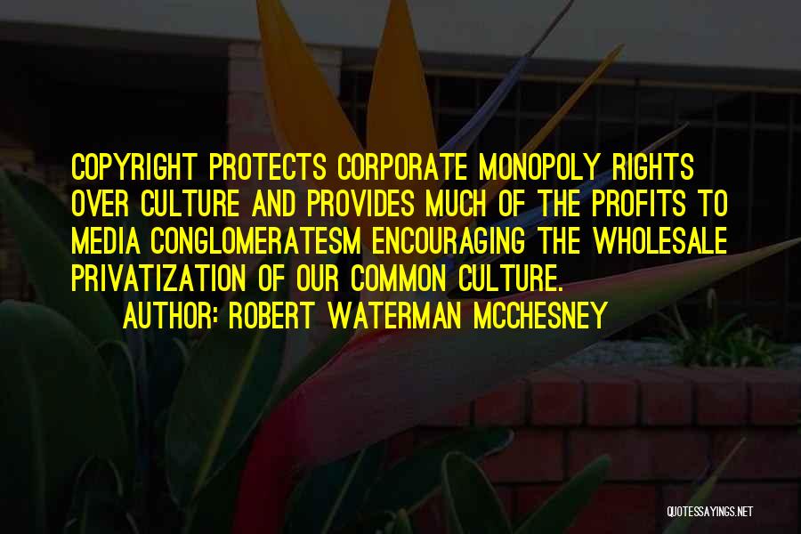 Privatization Quotes By Robert Waterman McChesney