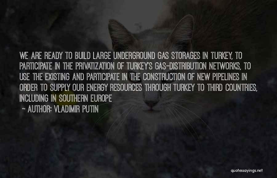 Privatization Quotes By Vladimir Putin