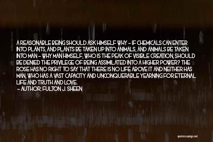 Privilege And Power Quotes By Fulton J. Sheen