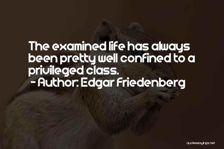 Privileged Class Quotes By Edgar Friedenberg