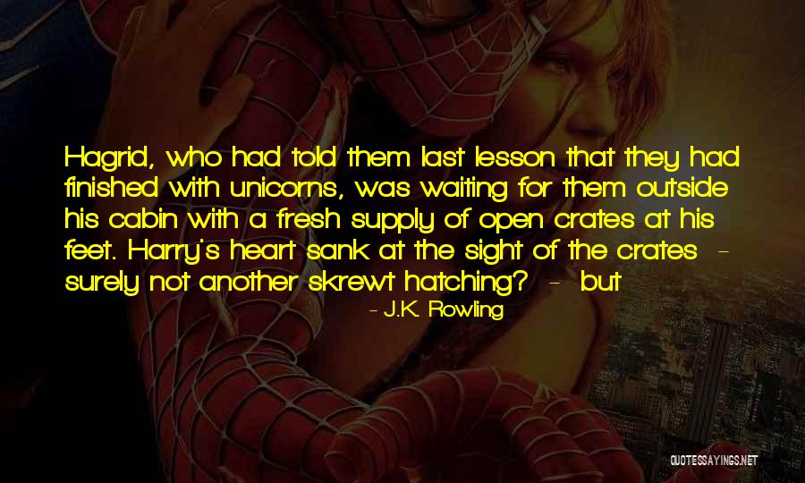 Privileged Info Quotes By J.K. Rowling Privileged Info Quotes By J.K. Rowling