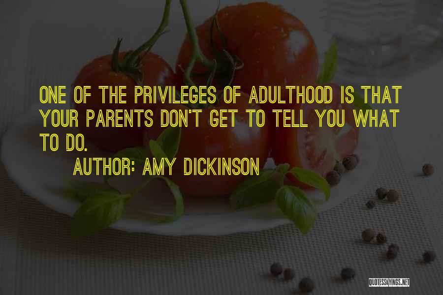 Privileges Quotes By Amy Dickinson