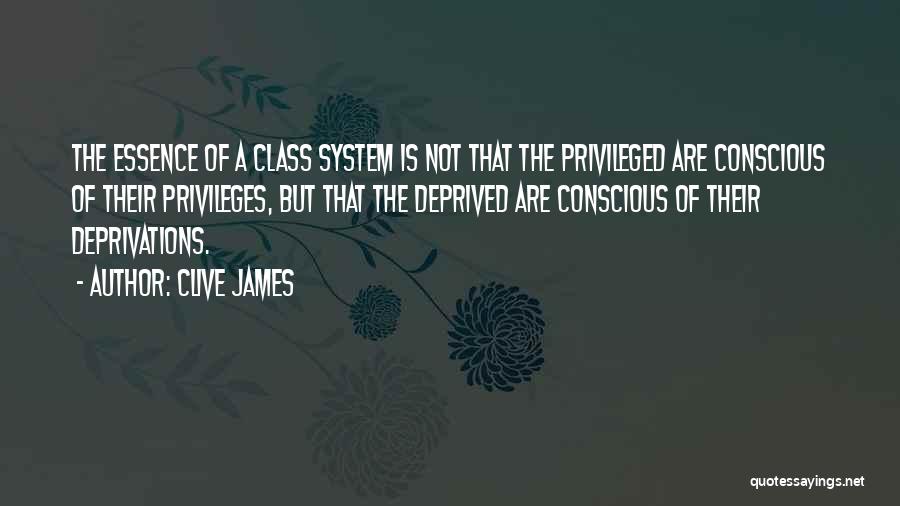 Privileges Quotes By Clive James