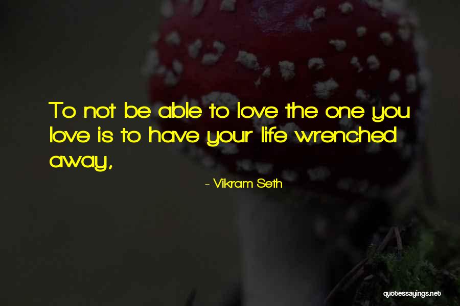 Privlaci Me Prijateljeva Ena Quotes By Vikram Seth