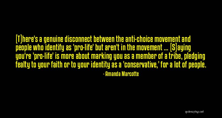 Pro Conservative Quotes By Amanda Marcotte Pro Conservative Quotes By Amanda Marcotte