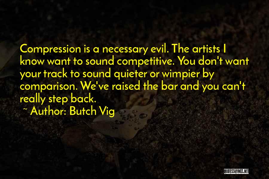 Pro Flag Burning Quotes By Butch Vig