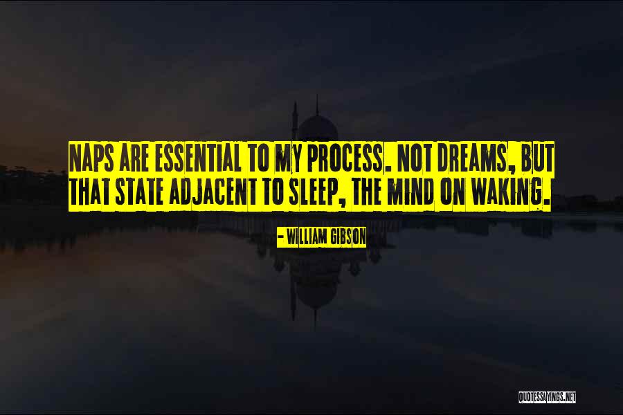 Pro Fox Hunting Quotes By William Gibson Pro Fox Hunting Quotes By William Gibson
