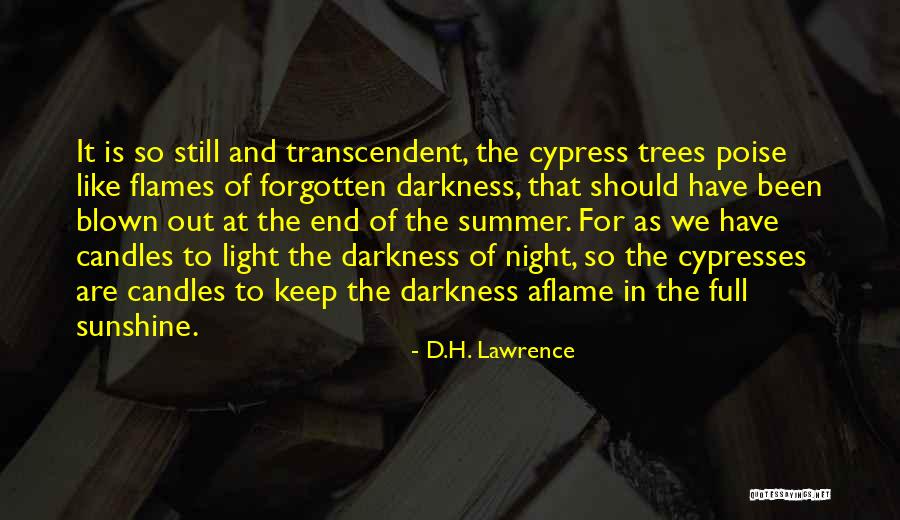 Probabilidade Significado Quotes By D.H. Lawrence