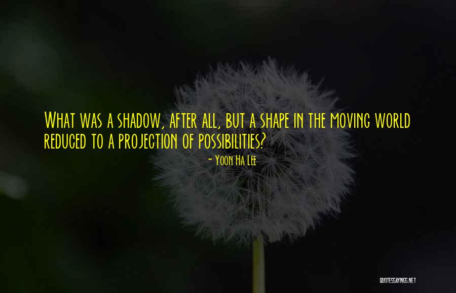 Probability Vs Possibility Quotes By Yoon Ha Lee