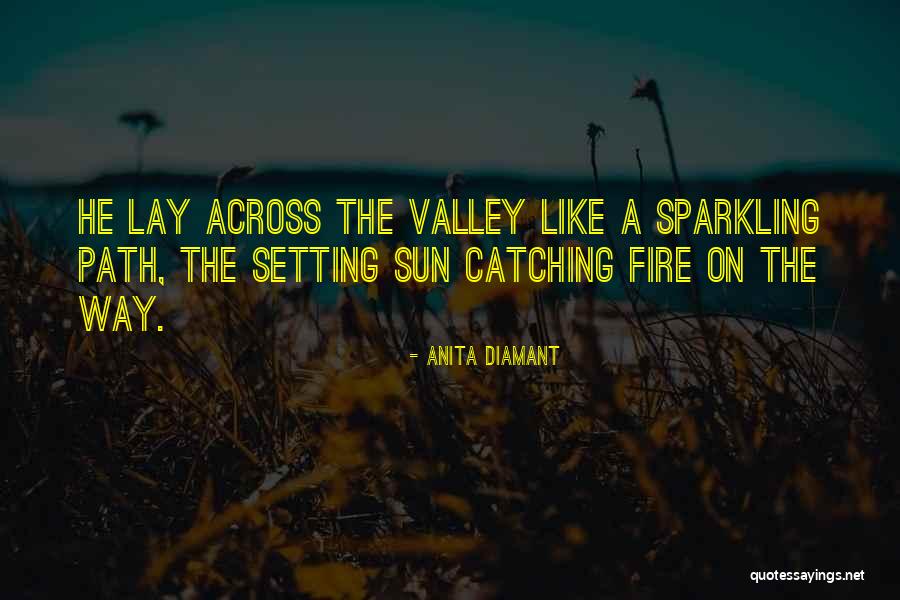 Probables For 2020 Quotes By Anita Diamant Probables For 2020 Quotes By Anita Diamant