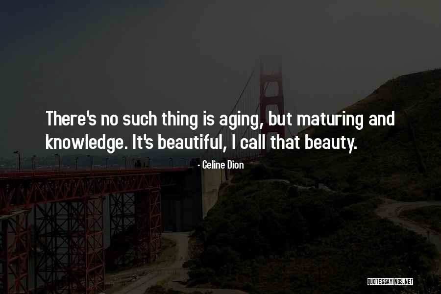 Probational Appointment Quotes By Celine Dion Probational Appointment Quotes By Celine Dion