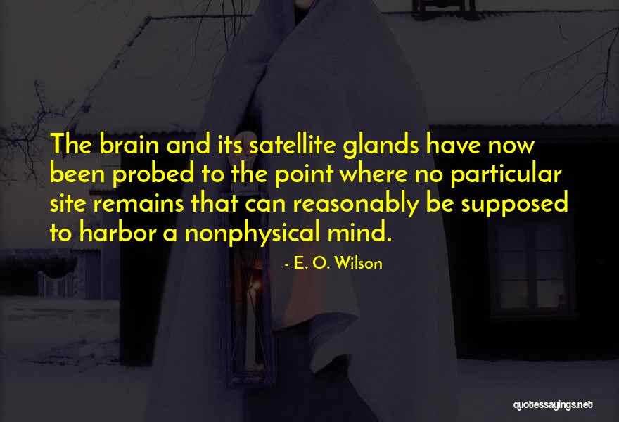 Probed Quotes By E. O. Wilson Probed Quotes By E. O. Wilson